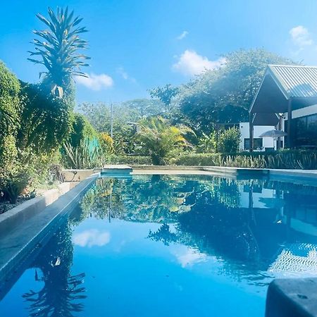 Villas Cabuya Beach & Jungle Ngoại thất bức ảnh