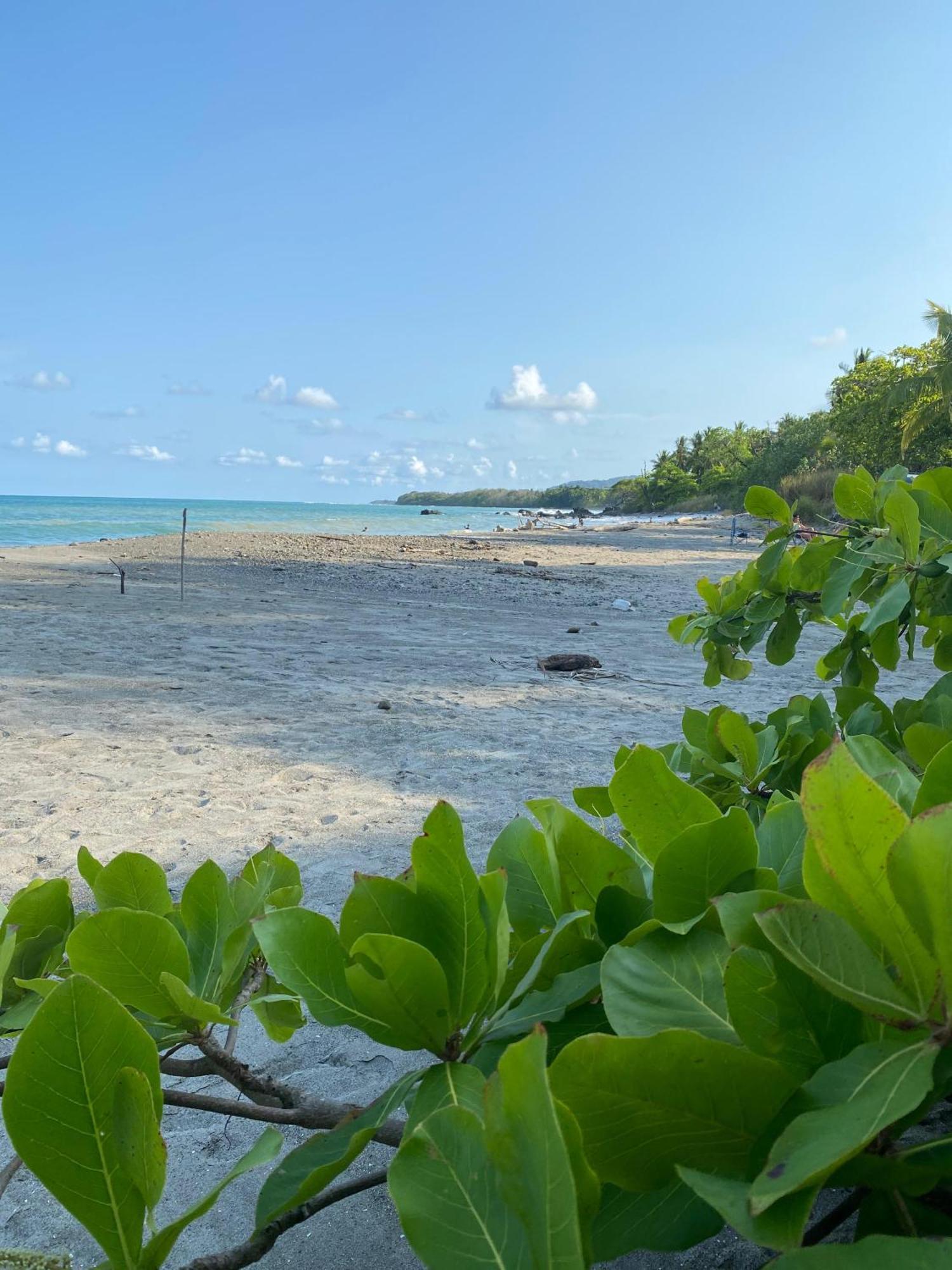 Villas Cabuya Beach & Jungle Ngoại thất bức ảnh